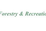 logo for homepage3